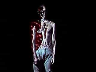 Screenshot of VIVISECTOR